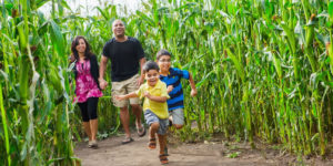 Kraay Family Farm, Home of the Lacombe Corn Maze Inc.